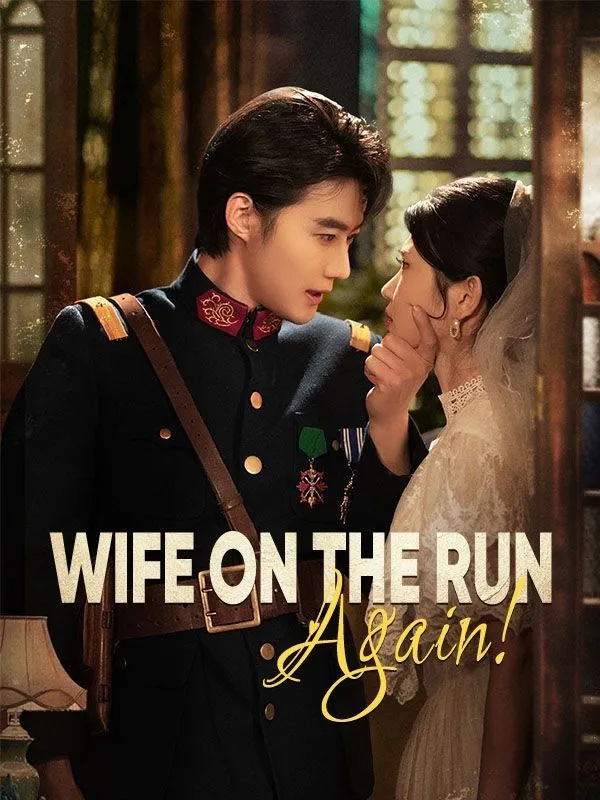 Wife on the Run, Again! cover