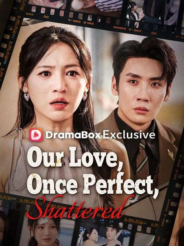 Our Love, Once Perfect, Shattered cover