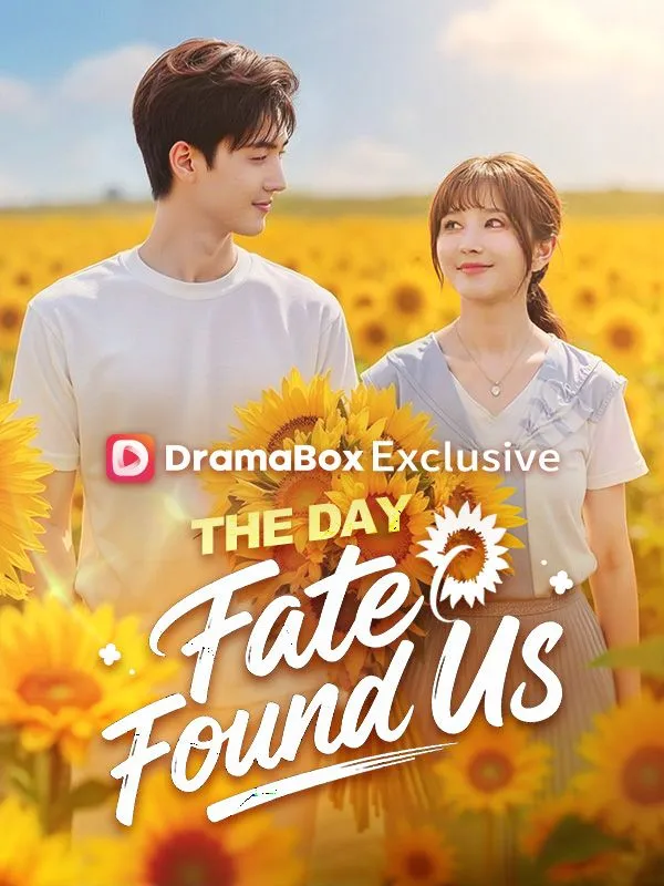 The Day Fate Found Us(DUBBED) cover