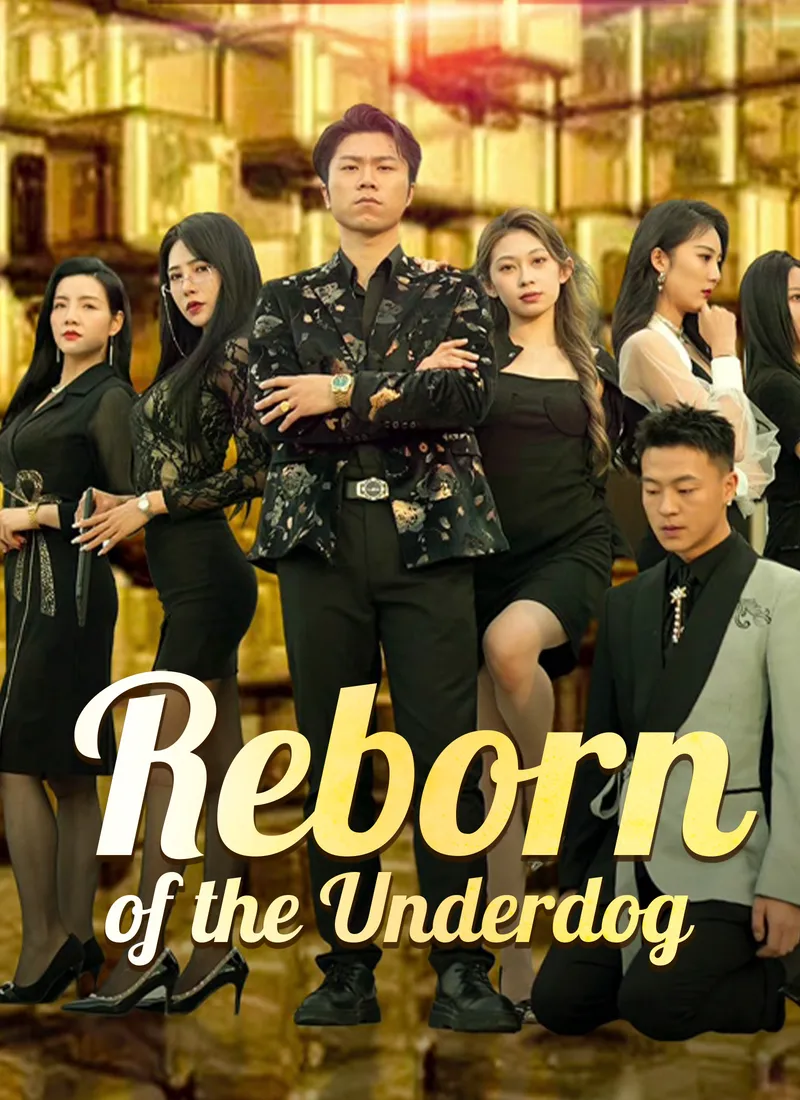Reborn of the Underdog cover