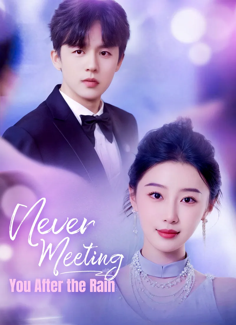 Never Meeting You After the Rain cover