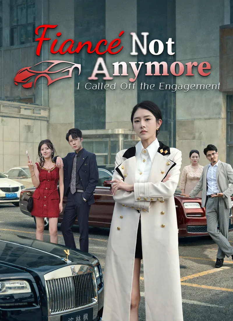 Fiancé, Not Anymore cover