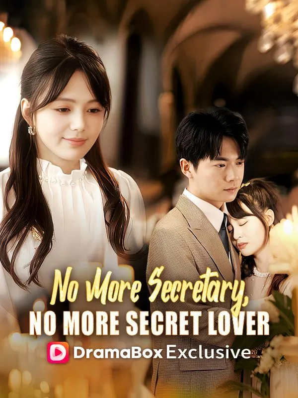 No More Secretary, No More Secret Lover cover
