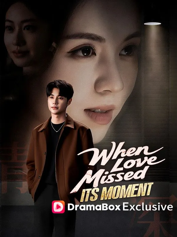 When Love Missed Its Moment cover