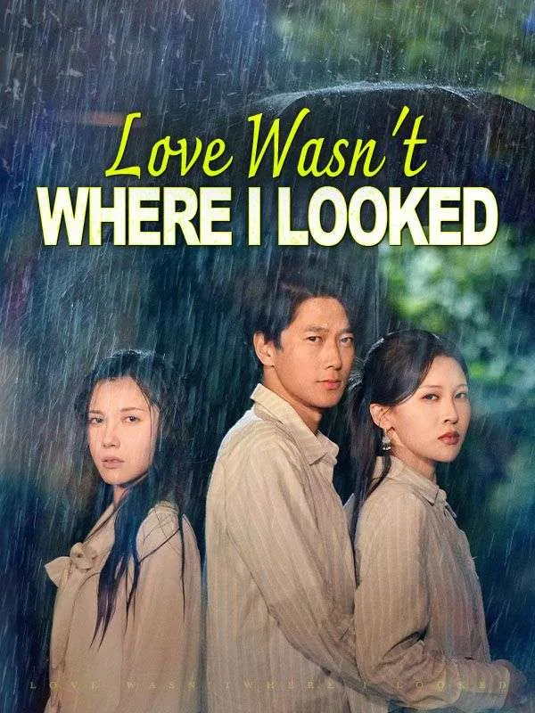 Love Wasn't Where I Looked(DUBBED) cover