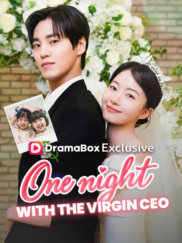 One Night With the Virgin CEO cover