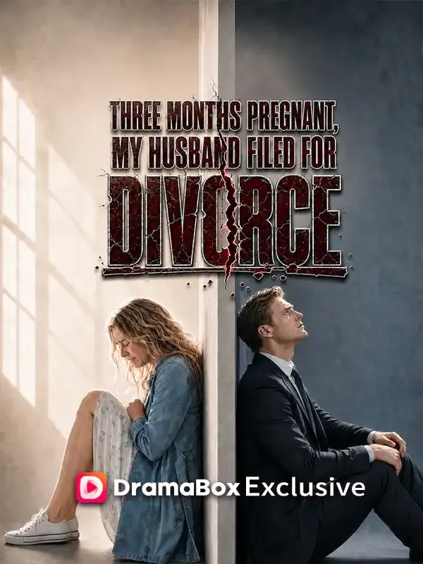 Three Months Pregnant, My Husband Filed For Divorce cover