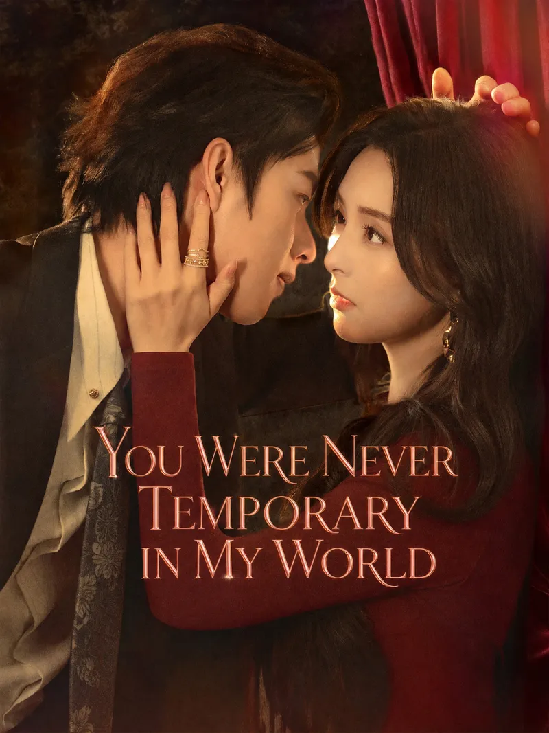 You Were Never Temporary in My World cover