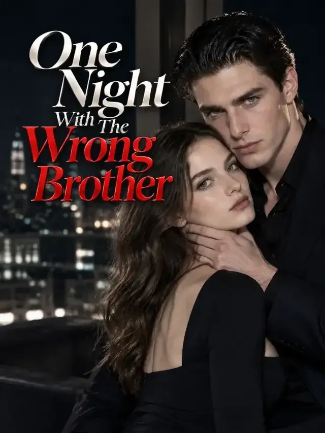 One Night With The Wrong Brother cover