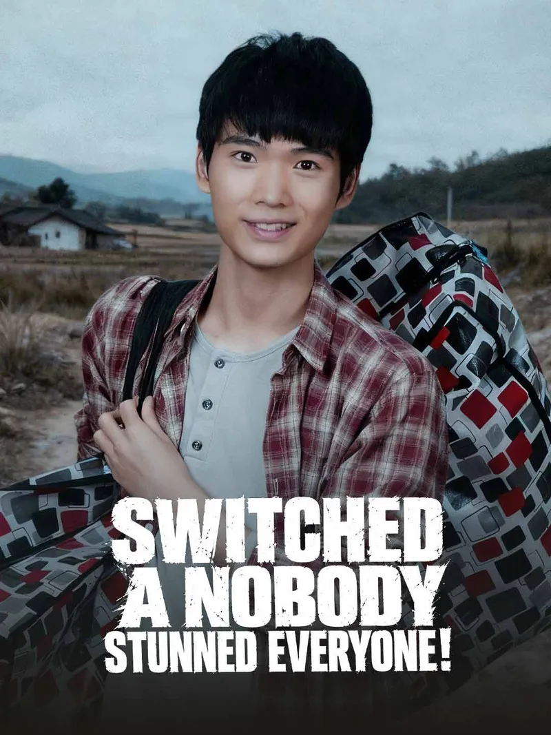 Switched a Nobody Stunned Everyone cover