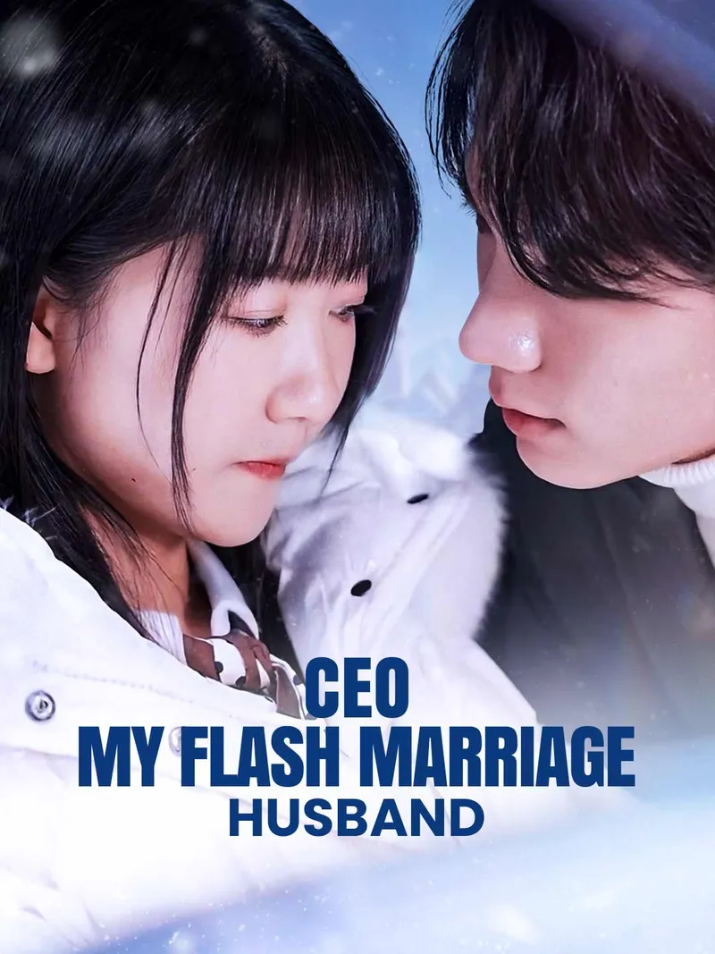 CEO: My Flash Marriage Husband cover