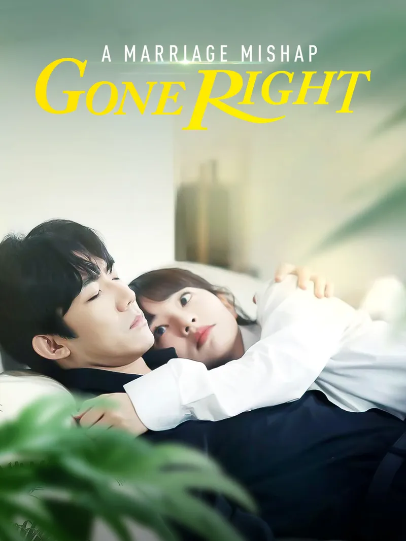 A Marriage Mishap Gone Right cover