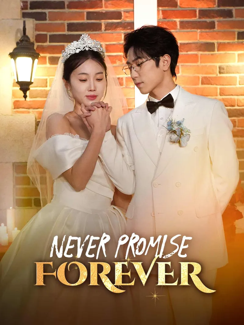 Never Promise Forever cover