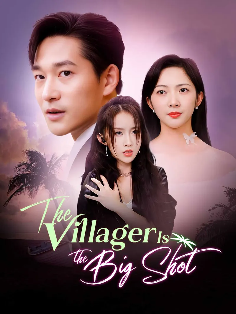 The Villager Is The Big Shot cover
