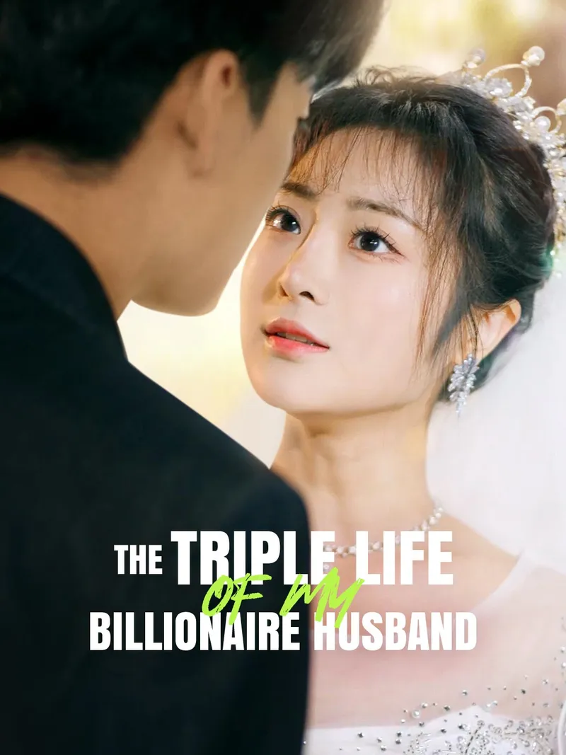 The Triple Life of My Billionaire Husband cover