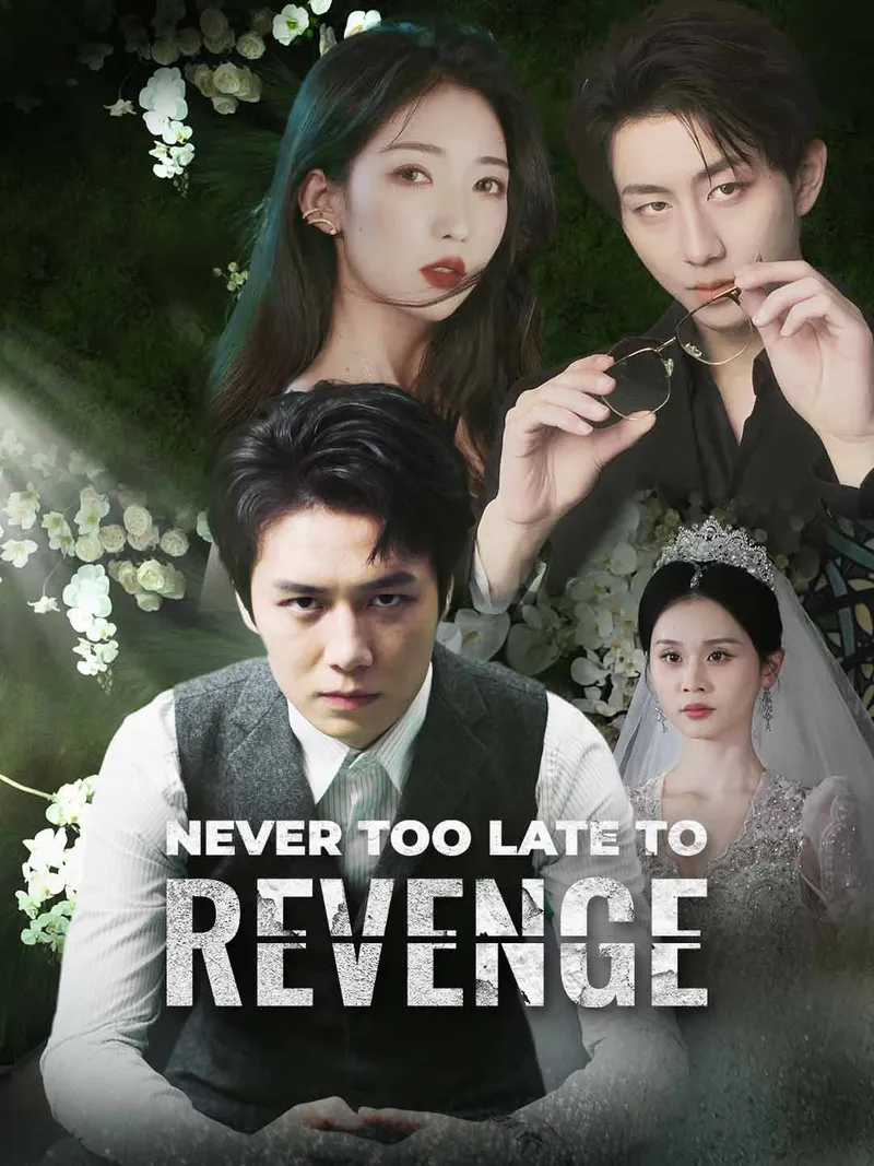 Never Too Late to Revenge cover