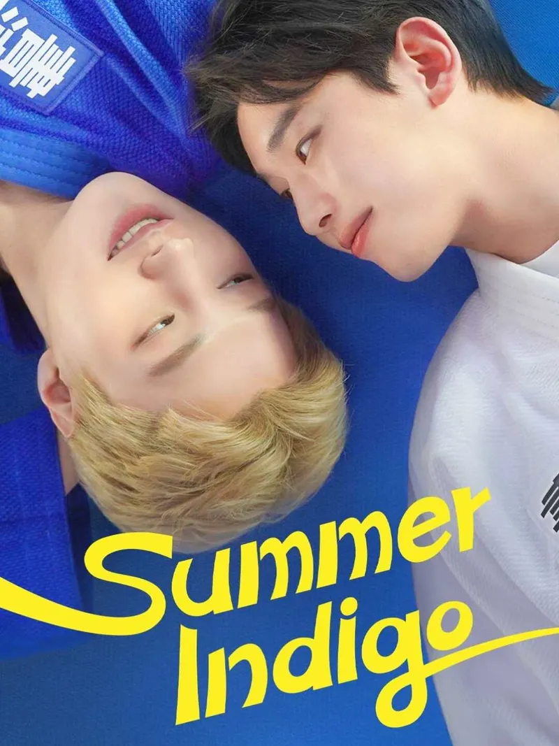 Summer Indigo cover