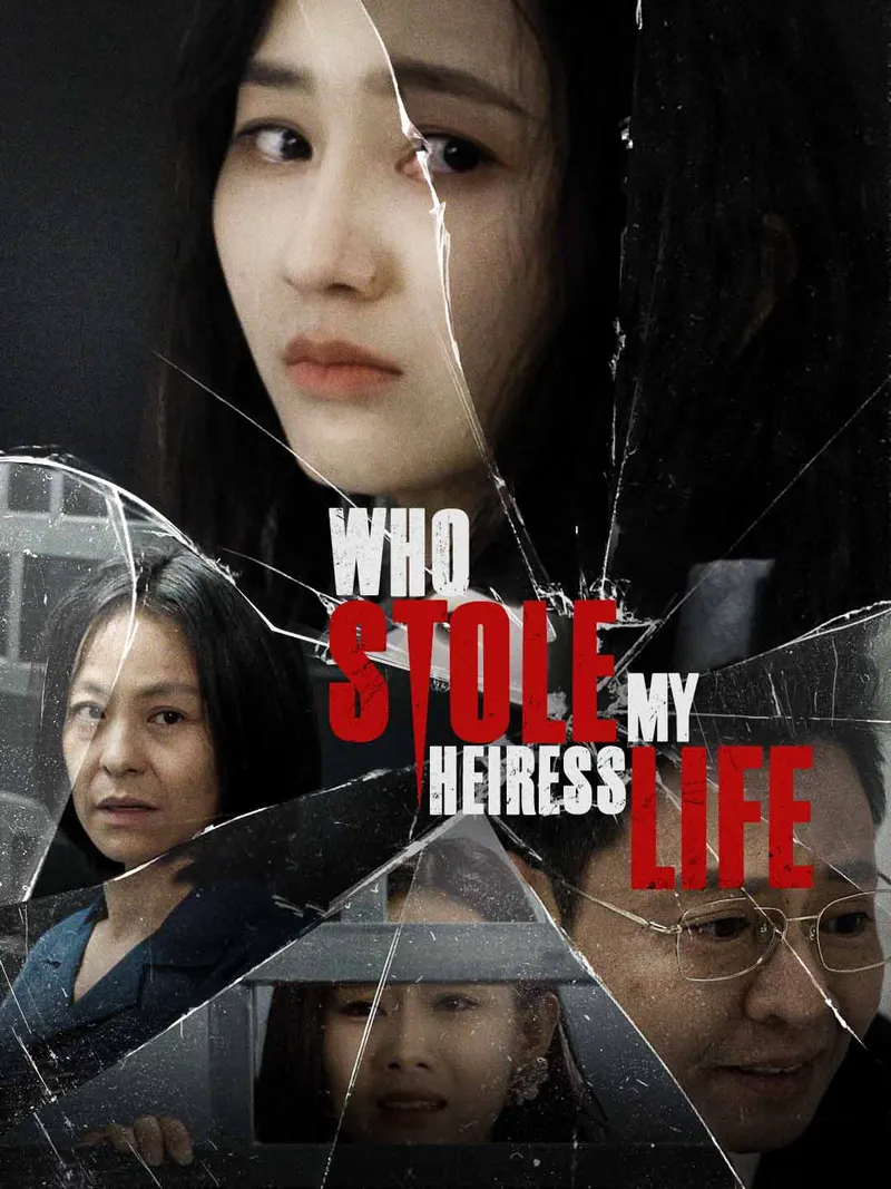 Who Stole My Heiress Life cover