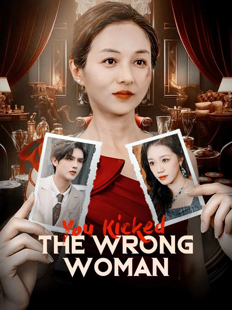 You Kicked the Wrong Woman cover