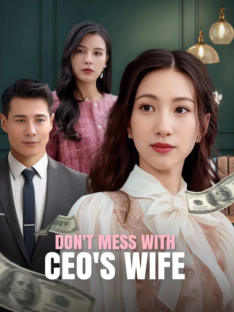 Don't Mess With CEO's Wife cover