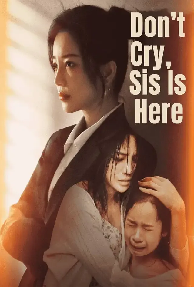 Don’t Cry, Sis Is Here cover